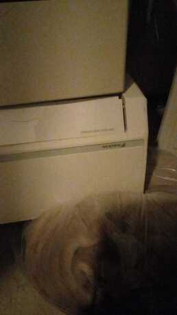 Olaya, Air Conditioners, SAR 1500,  2 Split Ac For Sale