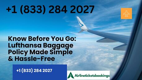 Washington DC, Travel, Know Before You Go: Lufthansa Baggage Policy Made Simple & Hassle-Free