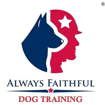 New York, Business, Always Faithful Dog Training Long Island NY