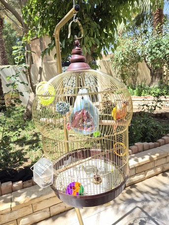 Al Malaz, Pet Supplies, SAR 175,  CAGE.S For Sale