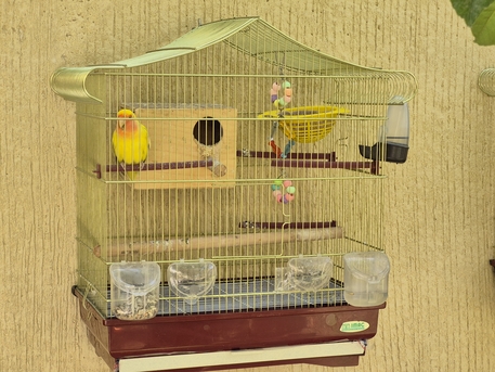 Al Malaz, Pet Supplies, SAR 175,  CAGE.S For Sale