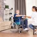NDIS Group & Centre Based Activities Perth