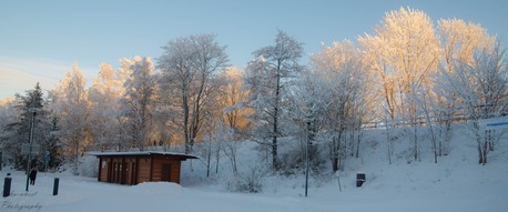 Dubai, Travel, Visit Finland For Holidays...HALAL FOOD.