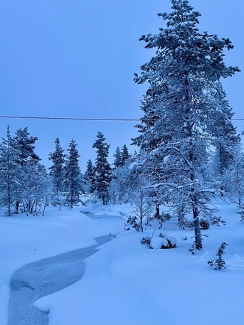 Doha, Travel, Visit Finland For Holidays.. HALAL FOOD