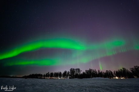 Doha, Travel, Visit Finland For Holidays.. HALAL FOOD