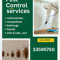 Pest Control Services
