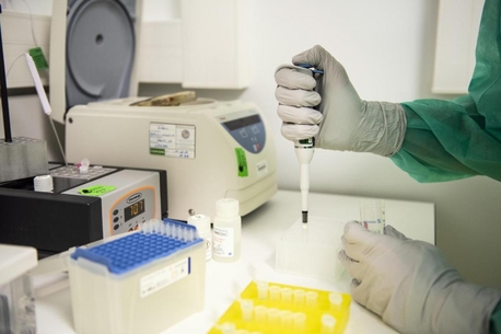 Riyadh, Job Seekers, Medical Laboratory Technologist