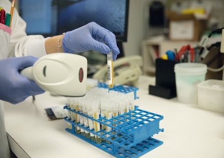 Riyadh, Job Seekers, Medical Laboratory Technologist