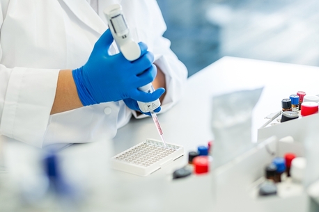 Riyadh, Job Seekers, Medical Laboratory Technologist