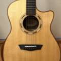 BHD 350,  Washburn WG2OSCE Electro-Acoustic Guitar (Excellent Condition)