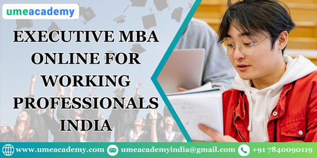 Noida, Lessons Offered, Executive MBA Online For Working Professionals India