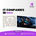 Professional IT Companies In Dubai For Smart Business Growth In UAE