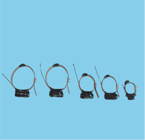 Los Angeles, Pet Sitting, How A GPS Locator For Cats Keeps Your Pet Safe Outdoors