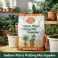 Premium Indoor Plant Potting Mix Supplier In India