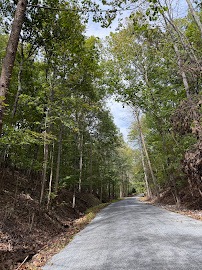 New York, Business, Iron Oak Tree Co