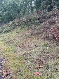 New York, Business, Iron Oak Tree Co