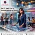 Best Institute For MBA In Mohali &ndash; Top Colleges & Career Opportunities