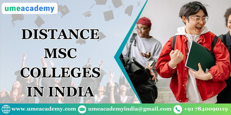 Noida, Lessons Offered, Distance MSc Colleges In India