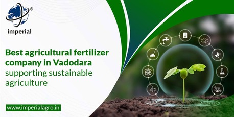 Ahmedabad, Farm & Garden, INR 01,  Liquid Plant Nutrients Supplier In Gujarat | Imperialagro