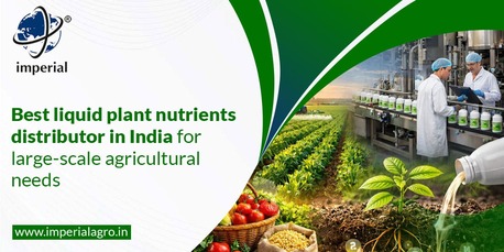 Ahmedabad, Farm & Garden, INR 01,  Liquid Plant Nutrients Supplier In Gujarat | Imperialagro