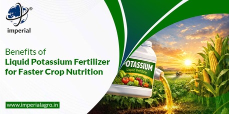 Vadodara, Farm & Garden, INR 01,  Precision Agriculture Fertilizers Distributor In Vadodara | Imperialagro