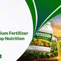 INR 01,  Precision Agriculture Fertilizers Distributor In Vadodara | Imperialagro
