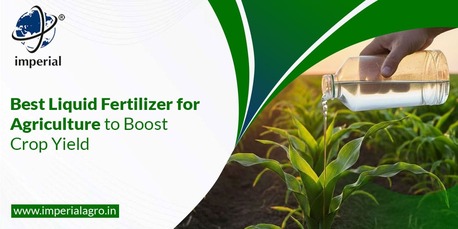 Vadodara, Farm & Garden, INR 01,  Precision Agriculture Fertilizers Distributor In Vadodara | Imperialagro