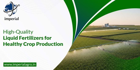 Vadodara, Farm & Garden, INR 01,  Precision Agriculture Fertilizers Distributor In Vadodara | Imperialagro
