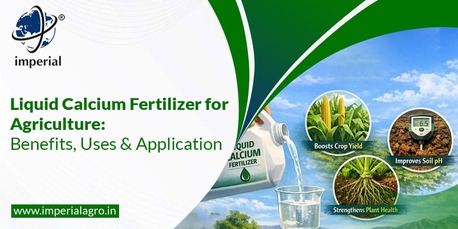 Vadodara, Farm & Garden, INR 01,  Precision Agriculture Fertilizers Distributor In Vadodara | Imperialagro