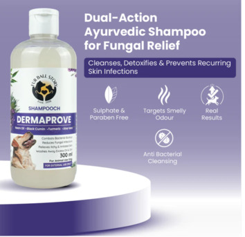 Gurgaon, Pet Sitting, Say Goodbye To Itchy Skin & Odor &ndash; Naturally