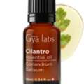 USD 12,  A Fresh Botanical &ndash; Cilantro Oil By Gya Labs