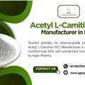 Why Acetyl L-Carnitine HCL Manufacturer In India Is Trending Again