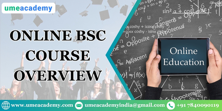 Lucknow, Lessons Offered, Online BSc Course Overview