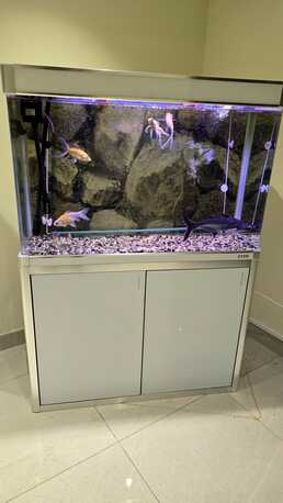 Manama, Household Items, BHD 170,  Fish Tank 1Mtr With Heavy Duty Pump, Fish And Accesories