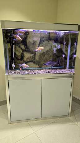 Manama, Household Items, BHD 170,  Fish Tank 1Mtr With Heavy Duty Pump, Fish And Accesories