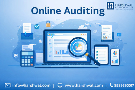 San Diego, Accounting, Online Auditing Services For Financial Accuracy