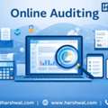 Online Auditing Services For Financial Accuracy