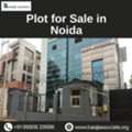 Plot For Sale In Noida &ndash; Prime Investment Opportunities