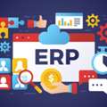 ERP For Service Companies To Manage Projects, Resources & Profitability