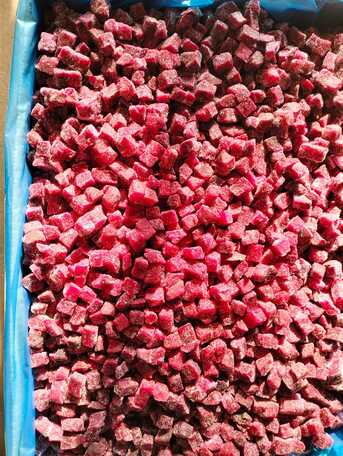 Toronto, Farm & Garden, FROZEN BETROOT