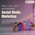 Social Media Agency | SEO Services Company In Zinavo - New York