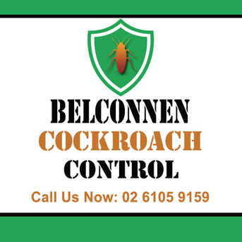 Sydney, Pest Control, Belconnen Cockroach Control