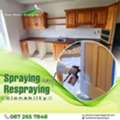 Spraying And Respraying: Restoring Beauty To Kitchen Surfaces