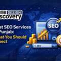 Best SEO Services In Punjab: What You Should Expect