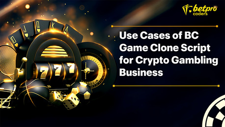 New Delhi, Businesses For Sale, Build Online Casino Like BC Game &ndash; Full Script Solution