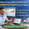 What To Expect When You Work With A GoHighLevel Expert For Your Agency?