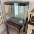 SAR 80,  Aquarium For Sale