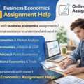 Business Economics Assignment Help | Market Analysis & Fiscal Policy