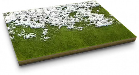 Calgary, Farm/Garden, Book Lawn Mowing Services Near You Today