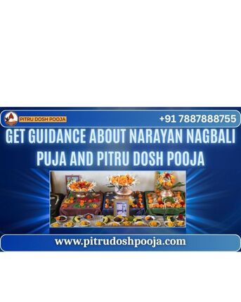 Mumbai, Business, Get Guidance About Narayan Nagbali Puja And Pitru Dosh Pooja